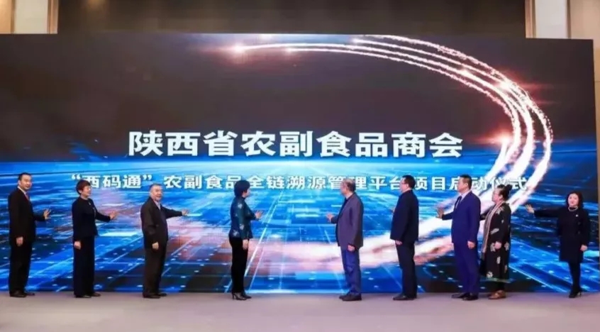 6.webp.jpg 6.webp.jpg